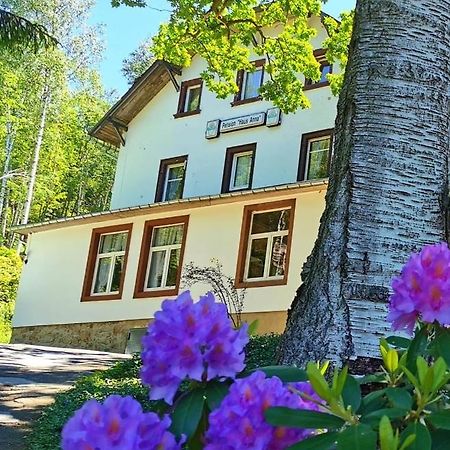 Pension Haus Anna Альтенберг Экстерьер фото