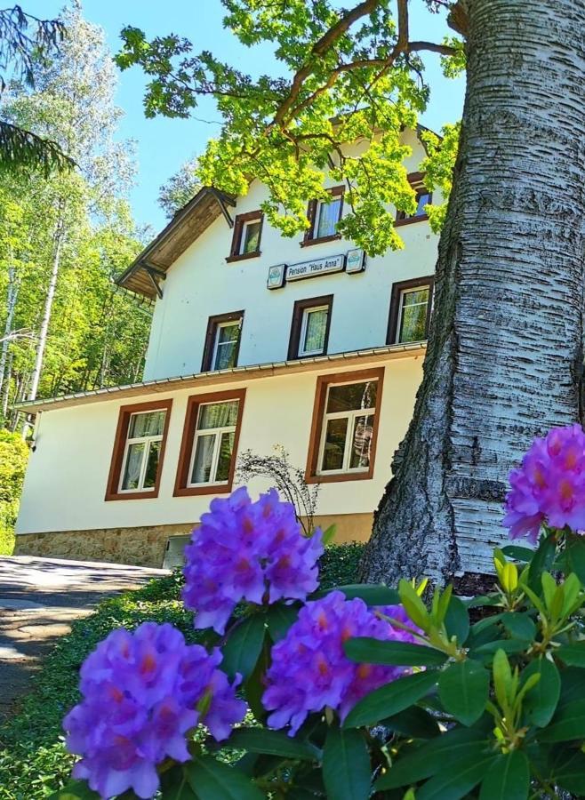 Pension Haus Anna Альтенберг Экстерьер фото